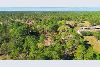 17028 Lively Road, Waller, TX 77484 - Photo 16