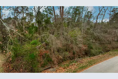 552 Stephen F Austin Drive, Conroe, TX 77302 - Photo 4