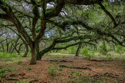 Tbd Cr 125, Hallettsville, TX 77964 - Photo 2