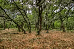 Tbd Cr 125, Hallettsville, TX 77964 - Photo 12