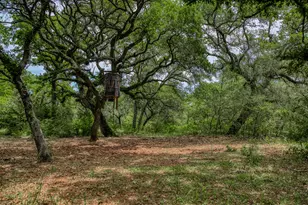 Tbd Cr 125, Hallettsville, TX 77964 - Photo 22