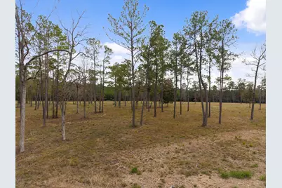 Tbd Lot 3 Fm 3152 Road, Livingston, TX 77351 - Photo 28
