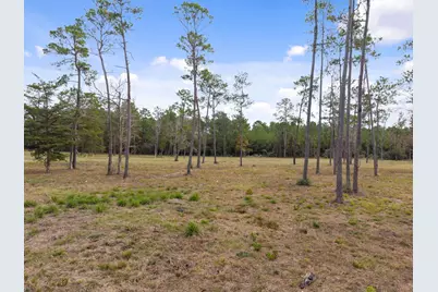 Tbd Lot 3 Fm 3152 Road, Livingston, TX 77351 - Photo 30