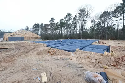 111 Roebuck Lane, New Waverly, TX 77358 - Photo 2