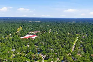 37 Treescape Cir, The Woodlands, TX 77381 - Photo 28