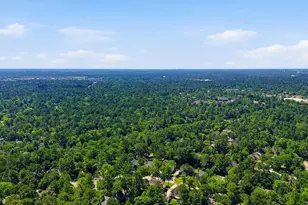 37 Treescape Cir, The Woodlands, TX 77381 - Photo 30