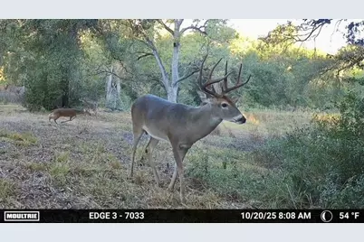 10822 N Korthauer, Bellville, TX 77418 - Photo 38