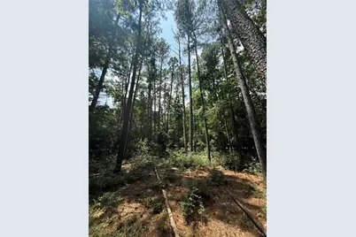 220 W Lake Shore Drive, Livingston, TX 77351 - Photo 10