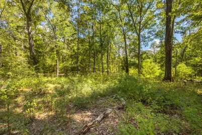 133 Oak Hollow St, Huntington, TX 75949 - Photo 40