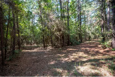 Tbd County Road 4520, Warren, TX 77664 - Photo 8