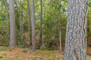 33819 Ansley Rd, Magnolia, TX 77355 - Photo 46