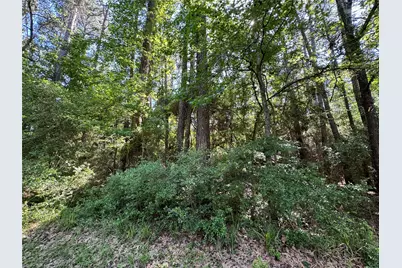16 Forrest Hollow, Trinity, TX 75862 - Photo 2