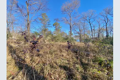 Lot #9 Tall Timber Road, Crockett, TX 75835 - Photo 4