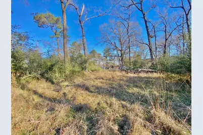 Lot #9 Tall Timber Road, Crockett, TX 75835 - Photo 8