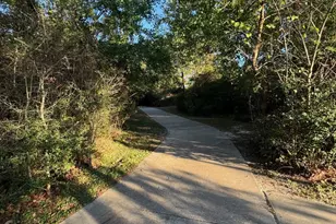 163 Emery Oak Way, Huntsville, TX 77320 - Photo 30