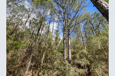 2 Cr 4280, Woodville, TX 75979 - Photo 6