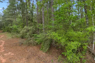 11800 Grand North Road, Willis, TX 77378 - Photo 12