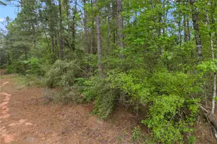 11800 Grand N Rd, Willis, TX 77378 - Photo 12