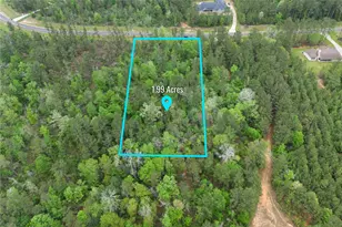 11800 Grand N Rd, Willis, TX 77378 - Photo 2