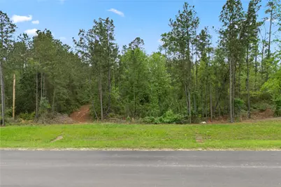 11800 Grand North Road, Willis, TX 77378 - Photo 10