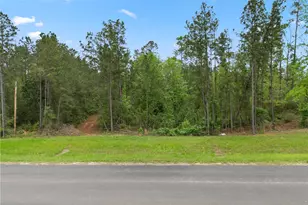 11800 Grand N Rd, Willis, TX 77378 - Photo 10