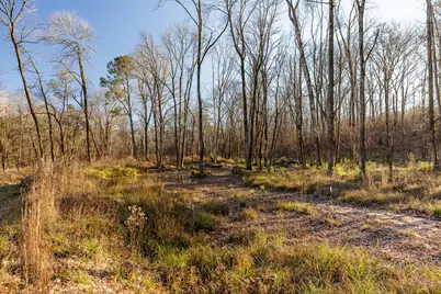 8544 Elberton Highway, Other, GA 30668 - Photo 22