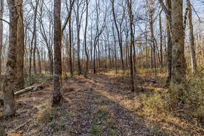 8544 Elberton Highway, Other, GA 30668 - Photo 26