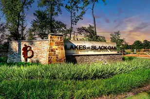140 Ashe Juniper Wy, Magnolia, TX 77354 - Photo 26