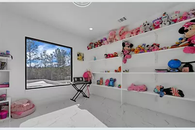 19315 Desna Drive, Porter, TX 77365 - Photo 24