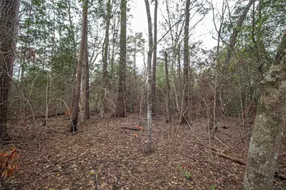 Tbd Gene Autry Trail, Livingston, TX 77351 - Photo 8
