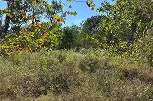 0 Little John Ln, Conroe, TX 77304 - Photo 6