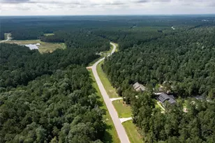 10775 Ruger Rd, Willis, TX 77378 - Photo 8