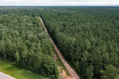 10775 Ruger Road, Willis, TX 77378 - Photo 4