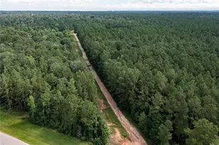 10775 Ruger Rd, Willis, TX 77378 - Photo 4