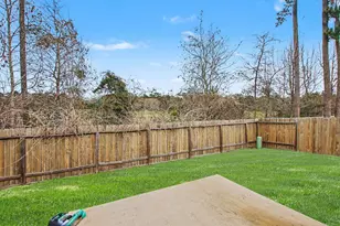 22622 Steel Blue Jaybird Dr, Hockley, TX 77447 - Photo 20