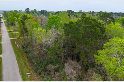 17051 Concord Drive, Conroe, TX 77385 - Photo 6