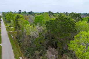 17051 Concord Dr, Conroe, TX 77385 - Photo 6