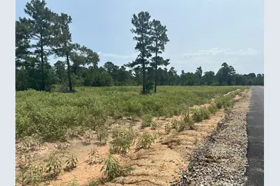 31879 Boone Road, Waller, TX 77484 - Photo 8