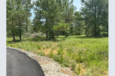 31879 Boone Road, Waller, TX 77484 - Photo 18