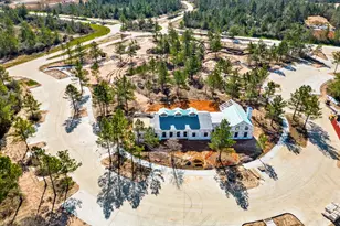 26356 Golden Pass Loop, Montgomery, TX 77316 - Photo 10