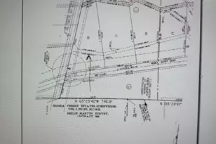 7800 Honea Egypt, Montgomery, TX 77316 - Photo 8