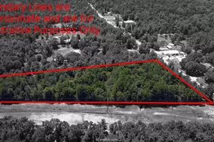 7800 Honea Egypt, Montgomery, TX 77316 - Photo 4