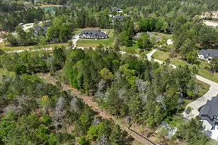 7057 Texas Trce, Montgomery, TX 77316 - Photo 8