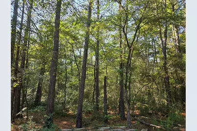 00 Hackberry Drive, Plantersville, TX 77363 - Photo 2