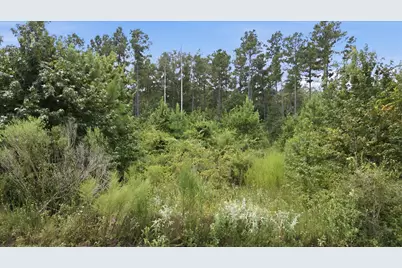 15977 Ridge Oak Road, Willis, TX 77378 - Photo 22
