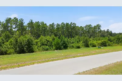 15977 Ridge Oak Road, Willis, TX 77378 - Photo 4