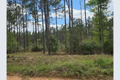 Tbd Kelley Road, Livingston, TX 77351 - Photo 2