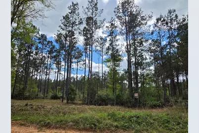 Tbd Kelley Road, Livingston, TX 77351 - Photo 4