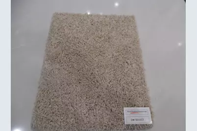 437 Wild Thicket Drive, Katy, TX 77493 - Photo 10