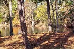 29 Thomas Lake Rd, Riverside, TX 77367 - Photo 28